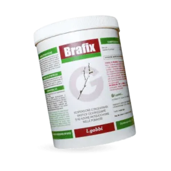brafix Brafix