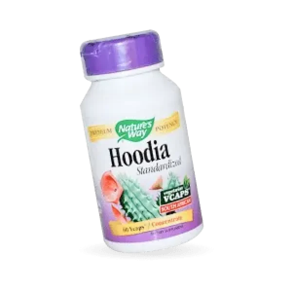 hoodia Hoodia